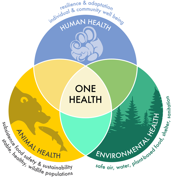 Venn diagram with three overlapping circles representing Human Health, Animal Health, and Environmental Health